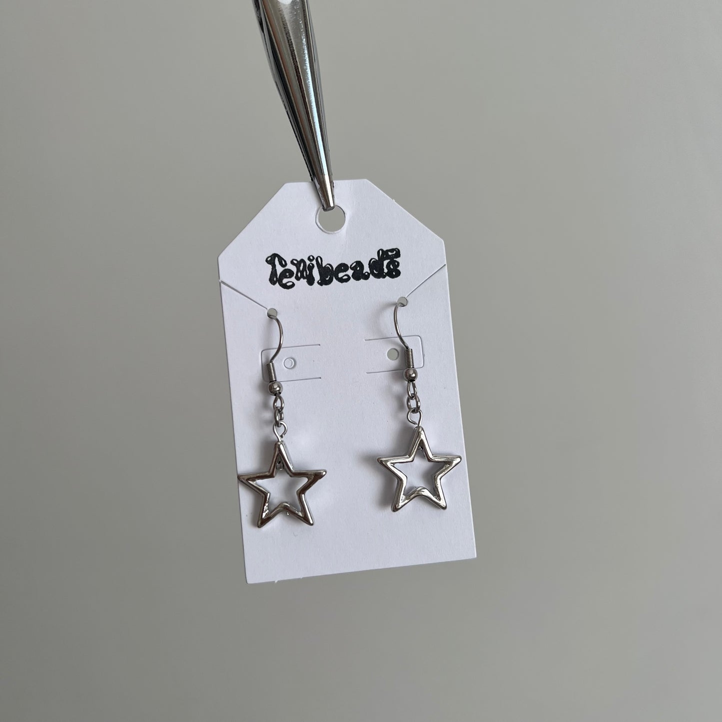 Misc Stainless Steel Earrings