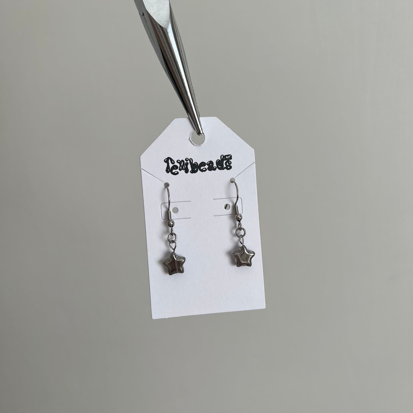 Misc Stainless Steel Earrings