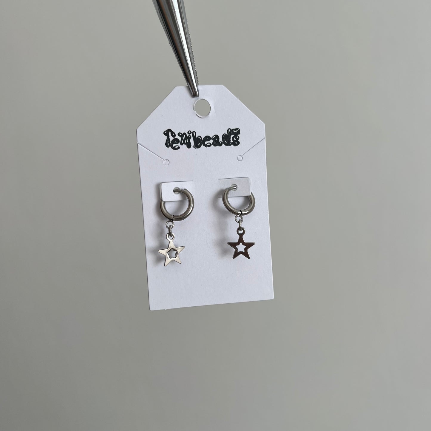 Misc Stainless Steel Earrings