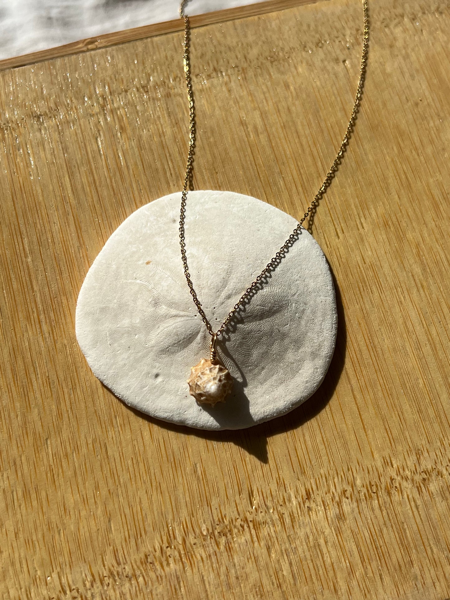 Snail Shell Gold Necklace