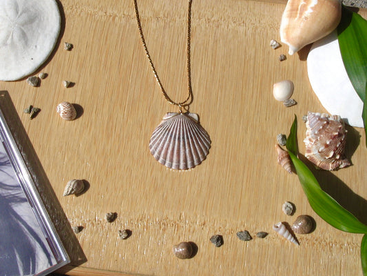 Grey Seashell Necklace