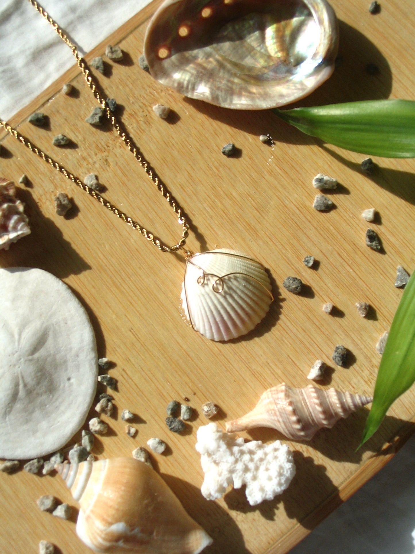 Big Shell Rope Necklace