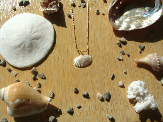 Mini Gold Shell Necklace