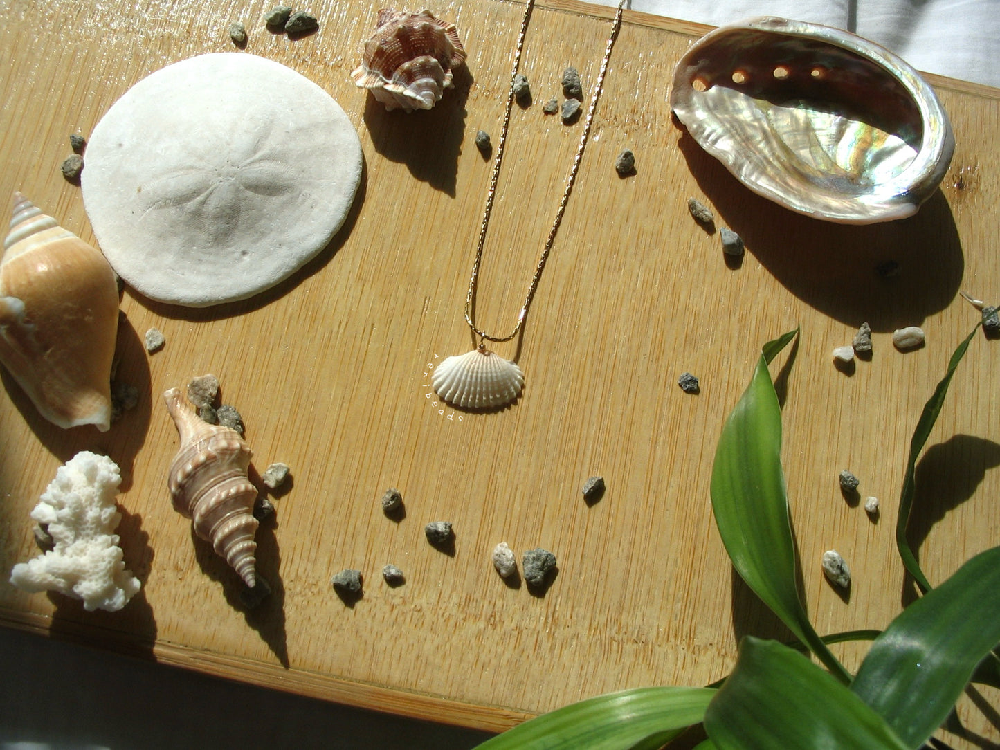 Mini Gold Shell Necklace