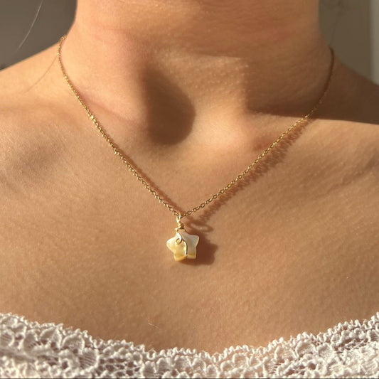 Shell Star