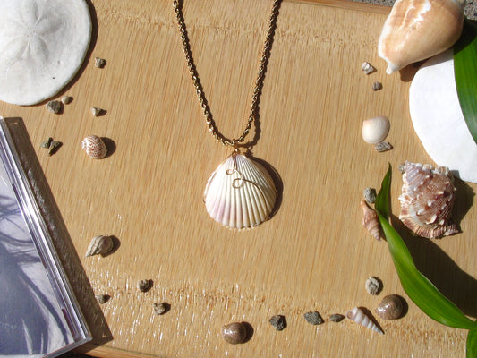Big Shell Rope Necklace