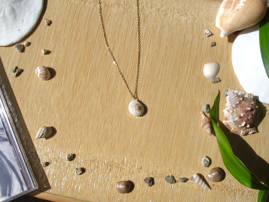 Nautilus Shell Gold Necklace