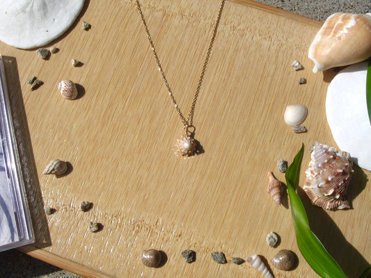 Snail Shell Gold Necklace