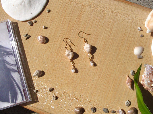 Conch Shell Earrings