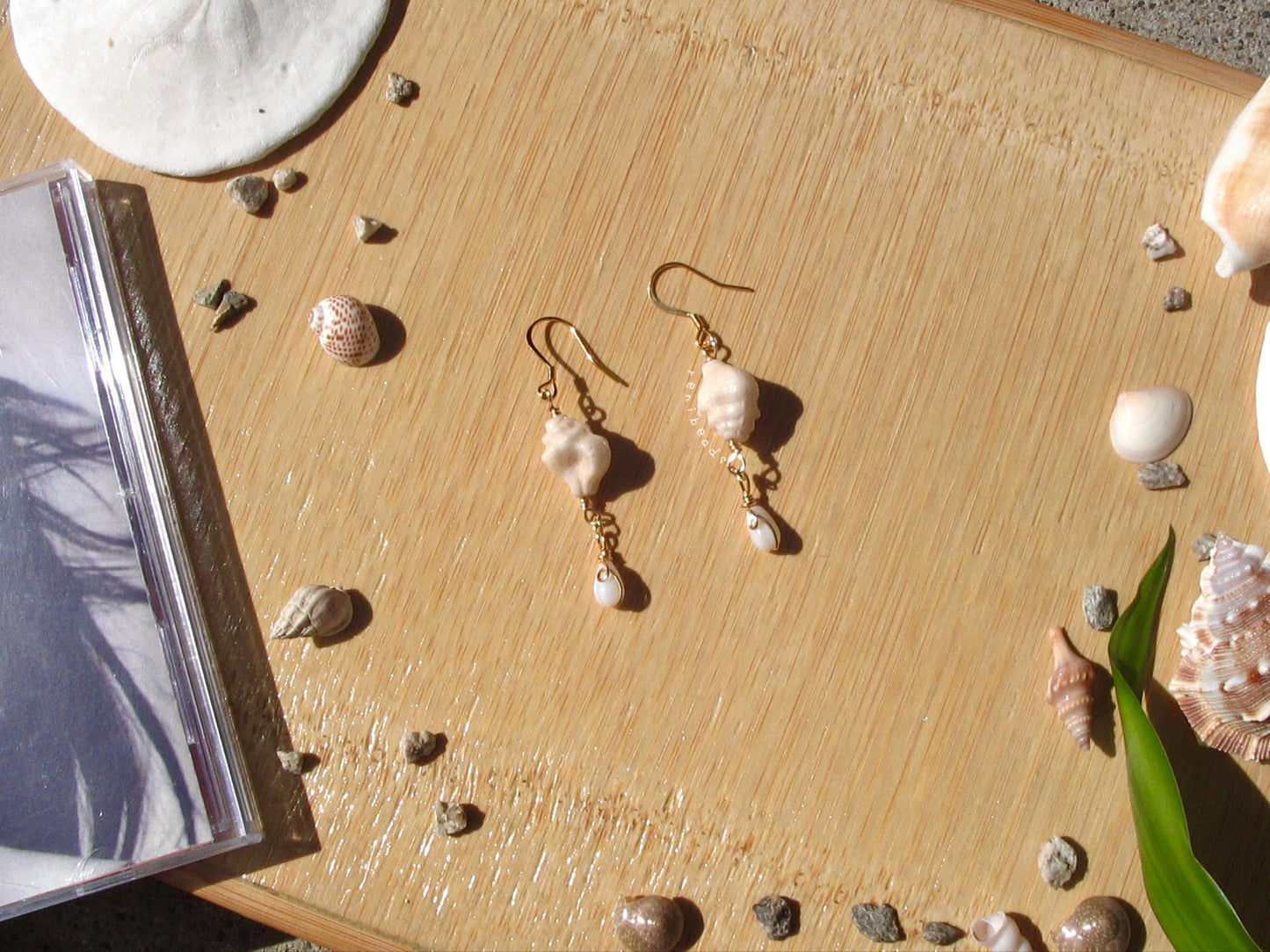 Conch Shell Earrings