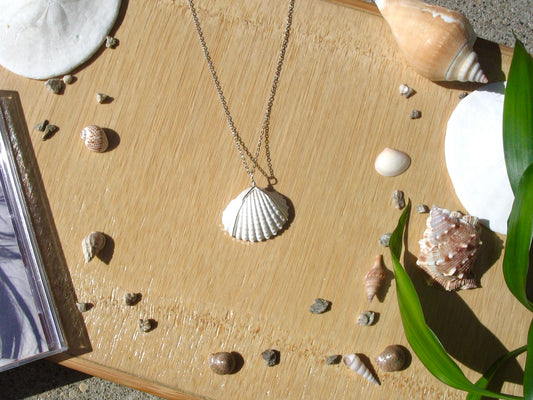 Dainty Silver Shell Necklace