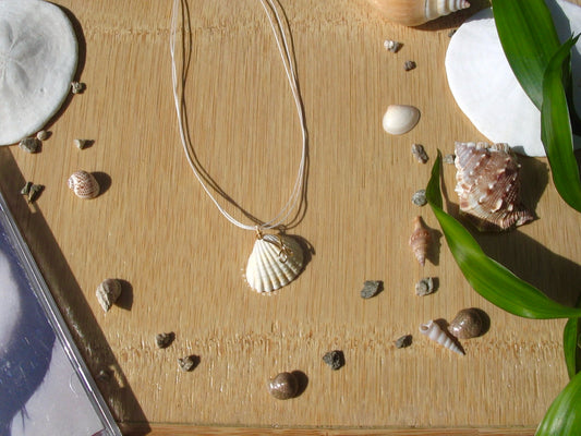 White Mini Shell Necklace