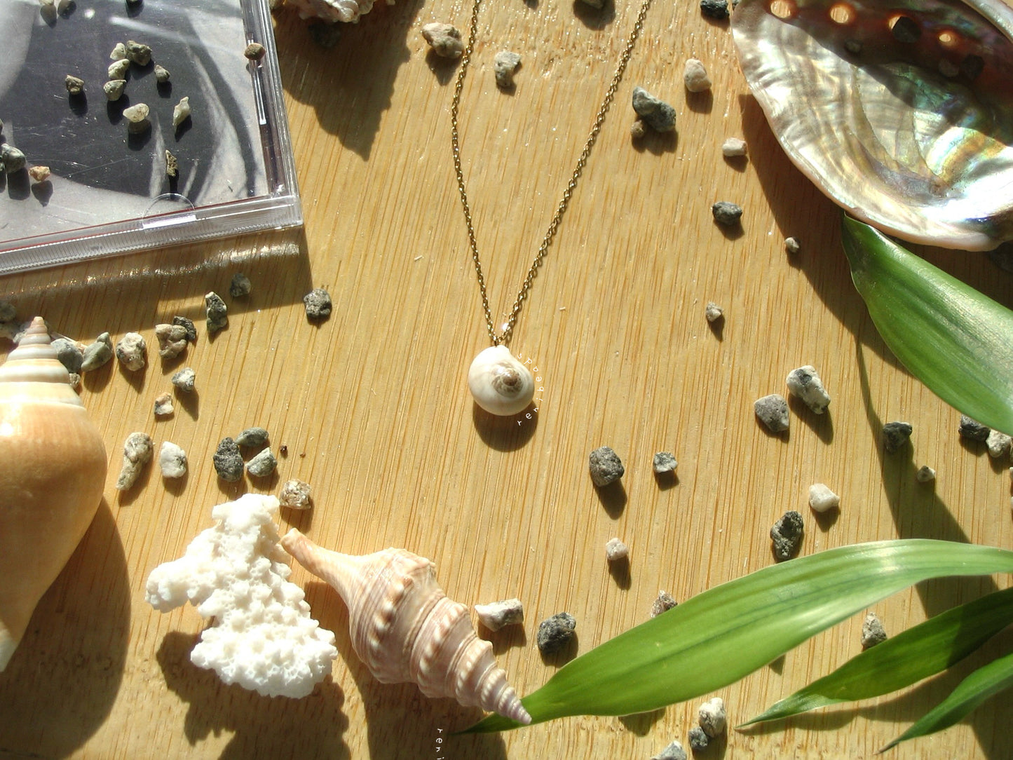 Nautilus Shell Gold Necklace